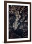 Night time satellite image of Charleston, South Carolina, USA-null-Framed Photographic Print