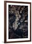 Night time satellite image of Charleston, South Carolina, USA-null-Framed Photographic Print