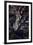 Night time satellite image of Charleston, South Carolina, USA-null-Framed Photographic Print