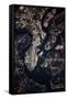 Night time satellite image of Charleston, South Carolina, USA-null-Framed Stretched Canvas
