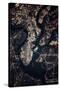 Night time satellite image of Charleston, South Carolina, USA-null-Stretched Canvas