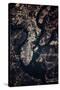 Night time satellite image of Charleston, South Carolina, USA-null-Stretched Canvas