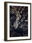 Night time satellite image of Charleston, South Carolina, USA-null-Framed Photographic Print