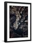 Night time satellite image of Charleston, South Carolina, USA-null-Framed Photographic Print