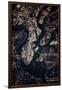 Night time satellite image of Charleston, South Carolina, USA-null-Framed Photographic Print