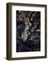 Night time satellite image of Charleston, South Carolina, USA-null-Framed Photographic Print