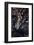 Night time satellite image of Charleston, South Carolina, USA-null-Framed Photographic Print