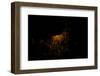 Night time satellite image of Chicago and Lake Michigan, Michigan, USA-null-Framed Photographic Print