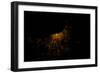 Night time satellite image of Chicago and Lake Michigan, Michigan, USA-null-Framed Photographic Print