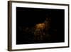 Night time satellite image of Chicago and Lake Michigan, Michigan, USA-null-Framed Photographic Print