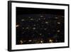 Night time satellite image of Cities in Gulf of Mexico, North America-null-Framed Photographic Print