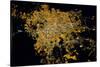 Night time satellite image of Guadalajara, Jalisco, Mexico-null-Stretched Canvas
