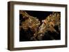 Night time satellite image of Istanbul, Turkey-null-Framed Photographic Print