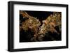 Night time satellite image of Istanbul, Turkey-null-Framed Photographic Print