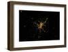 Night time satellite image of Madrid, Germany-null-Framed Photographic Print