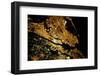 Night time satellite image of New York City area, NY, USA-null-Framed Photographic Print