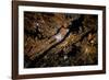 Night time satellite image of New York, USA-null-Framed Photographic Print