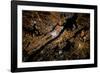 Night time satellite image of New York, USA-null-Framed Photographic Print