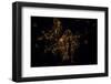 Night time satellite image of Portland, Oregon, USA-null-Framed Photographic Print