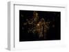 Night time satellite image of Portland, Oregon, USA-null-Framed Photographic Print