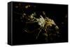 Night time satellite view of Dammam, Eastern Province, Saudi Arabia-null-Framed Stretched Canvas