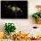 Night time satellite view of Dammam, Eastern Province, Saudi Arabia-null-Framed Stretched Canvas displayed on a wall