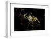 Night time satellite view of Dammam, Eastern Province, Saudi Arabia-null-Framed Photographic Print