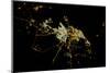 Night time satellite view of Dammam, Eastern Province, Saudi Arabia-null-Mounted Photographic Print