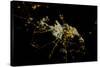 Night time satellite view of Dammam, Eastern Province, Saudi Arabia-null-Stretched Canvas