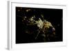 Night time satellite view of Dammam, Eastern Province, Saudi Arabia-null-Framed Photographic Print