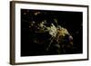 Night time satellite view of Dammam, Eastern Province, Saudi Arabia-null-Framed Photographic Print