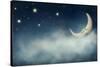 Night Time with Stars and Moon-egal-Stretched Canvas