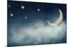 Night Time with Stars and Moon-egal-Mounted Photographic Print