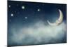 Night Time with Stars and Moon-egal-Mounted Photographic Print