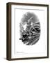 Night Train, Artwork-Bill Sanderson-Framed Photographic Print
