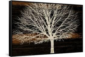 Night Tree-Diane Stimson-Framed Stretched Canvas