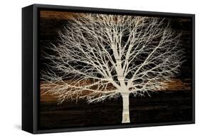 Night Tree-Diane Stimson-Framed Stretched Canvas