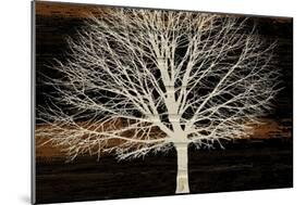 Night Tree-Diane Stimson-Mounted Art Print