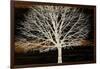 Night Tree-Diane Stimson-Framed Art Print