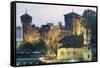 Night View of Castle of Valentino-null-Framed Stretched Canvas