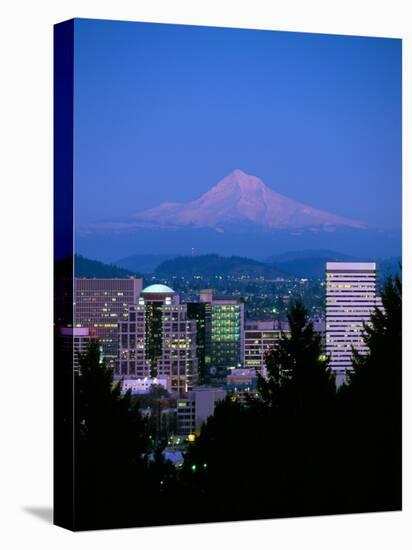 Night View of Downtown and Mt Hood, Portland, Oregon, USA-Janis Miglavs-Stretched Canvas