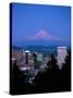 Night View of Downtown and Mt Hood, Portland, Oregon, USA-Janis Miglavs-Stretched Canvas