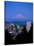 Night View of Downtown and Mt Hood, Portland, Oregon, USA-Janis Miglavs-Stretched Canvas