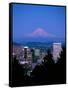 Night View of Downtown and Mt Hood, Portland, Oregon, USA-Janis Miglavs-Framed Stretched Canvas