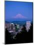 Night View of Downtown and Mt Hood, Portland, Oregon, USA-Janis Miglavs-Mounted Photographic Print