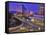 Night View of Downtown Boise, Idaho, USA-Chuck Haney-Framed Stretched Canvas