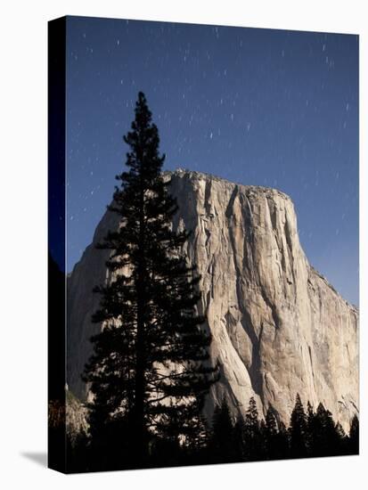 Night View of El Capitan, illuminated by a full moon-Paul Souders-Stretched Canvas