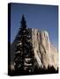 Night View of El Capitan, illuminated by a full moon-Paul Souders-Stretched Canvas