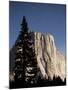 Night View of El Capitan, illuminated by a full moon-Paul Souders-Mounted Photographic Print