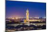 Night View of Florence in Italy-Elnur-Mounted Photographic Print